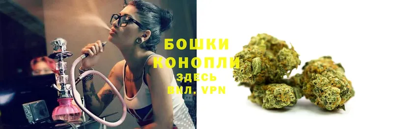 Каннабис SATIVA & INDICA  где продают наркотики  Златоуст 